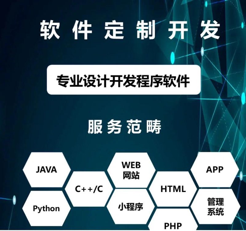 软件定制开发:企业快速实现数字化变革的秘密武器